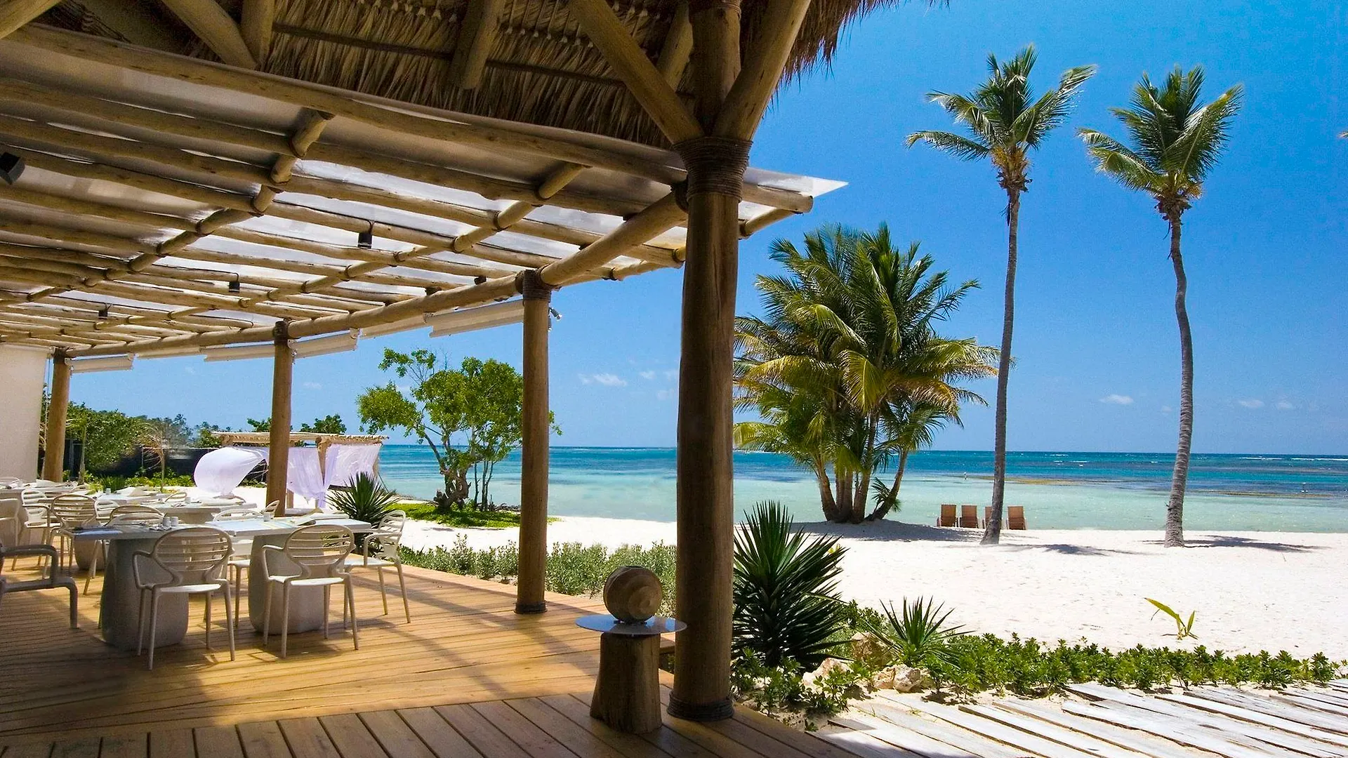 Tortuga Bay Hotell Punta Cana Dominikanska republiken